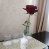 https://cdn.ostrovok.ru/t/100x100/hotel_review/8d/f4/8df431a92e31ddb539052d7813148dbc6fa9f016.JPEG