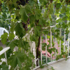 https://cdn.ostrovok.ru/t/100x100/hotel_review/8e/55/8e55b95aee802e05ca3e3bfc7f51859e4d3d5666.jpeg