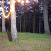 https://cdn.ostrovok.ru/t/100x100/hotel_review/90/15/9015f87c5dbe4cb2b95cfbcd1debbb2ba96cdbf5.JPEG