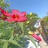 https://cdn.ostrovok.ru/t/100x100/hotel_review/98/66/98665840a5bf5d0cccf4e85fb4d92fe286702df0.jpeg
