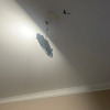 https://cdn.ostrovok.ru/t/100x100/hotel_review/99/df/99dfd9820cde630ef65ffbb45455b4c101d95c04.JPEG