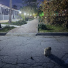 https://cdn.ostrovok.ru/t/100x100/hotel_review/9b/07/9b07d2d89a2b8a1ce36f13ac2e5fdf2cb027f97b.JPEG