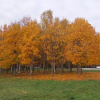 https://cdn.ostrovok.ru/t/100x100/hotel_review/9b/24/9b24923d2249ba7d2817792d2977d88e052d3290.JPEG