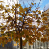 https://cdn.ostrovok.ru/t/100x100/hotel_review/9c/1c/9c1c87927f91fa9a715fefd47dc72261baaa9eac.JPEG