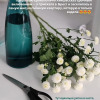 https://cdn.ostrovok.ru/t/100x100/hotel_review/9d/e6/9de6c679252e263bf76d82e42fa04cd96bba94e5.JPEG