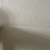 https://cdn.ostrovok.ru/t/100x100/hotel_review/9e/4f/9e4f4018cfcc04f3ff49cef7c879e0462322cdcd.JPEG