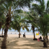 https://cdn.ostrovok.ru/t/100x100/hotel_review/9e/55/9e55a6edb2fb58bb68ecaa458bb2fa8fb030fe02.JPEG