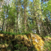 https://cdn.ostrovok.ru/t/100x100/hotel_review/9e/ac/9eace8c4b0a93235eba14aa4b034ca5bd2eceb10.JPEG