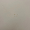 https://cdn.ostrovok.ru/t/100x100/hotel_review/9f/72/9f72045397f4e096b72a4af17f49bbcb9d75cdcd.jpeg