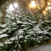 https://cdn.ostrovok.ru/t/100x100/hotel_review/a2/d1/a2d159e59de06330c7edd82039d11e5e69c93c2a.jpeg