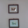 https://cdn.ostrovok.ru/t/100x100/hotel_review/a4/3c/a43cf8cf34c967c24f37fd15767a2cfbe3e511b7.jpeg