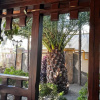 https://cdn.ostrovok.ru/t/100x100/hotel_review/a6/8e/a68e70ecdf4a7c4590b4e38bcea4a566f399ee4b.JPEG