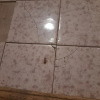 https://cdn.ostrovok.ru/t/100x100/hotel_review/ab/21/ab215b3e89be39df30f0685ac1f3ca3d3578a5e8.jpeg