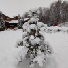 https://cdn.ostrovok.ru/t/100x100/hotel_review/ab/2d/ab2d90e1ac230b4d06a7f4aadf01b4c975fe78eb.jpeg