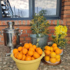 https://cdn.ostrovok.ru/t/100x100/hotel_review/ab/cc/abcc005c948ec5b8b349c24c8a2eeea74b1b57b9.JPEG
