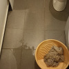 https://cdn.ostrovok.ru/t/100x100/hotel_review/ab/e0/abe071b897eba0d82bfec81ebbdea2e0e28ebf0c.JPEG