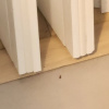 https://cdn.ostrovok.ru/t/100x100/hotel_review/ae/ba/aeba8bebbde006df568aa73cb45d1d2fa3c7dbe8.JPEG