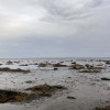https://cdn.ostrovok.ru/t/100x100/hotel_review/af/ff/affff6bdc0b401b953e9f3e548c2f2f8aab31321.JPEG