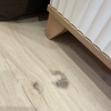 https://cdn.ostrovok.ru/t/100x100/hotel_review/b0/a4/b0a4416732bafd82d9ca7b0da2a81e9aecf1abef.PNG