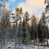 https://cdn.ostrovok.ru/t/100x100/hotel_review/b3/9e/b39ed771da5ceb2680e555925fc02443e5c5a2df.jpeg