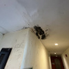 https://cdn.ostrovok.ru/t/100x100/hotel_review/b3/f4/b3f4fbbc6ffd1bc342686cd8dca7b2b11819d792.JPEG