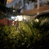 https://cdn.ostrovok.ru/t/100x100/hotel_review/b6/4b/b64b8a49d47ee36d96eb5eb4bfb5ba2ae36c72ad.JPEG