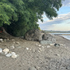 https://cdn.ostrovok.ru/t/100x100/hotel_review/b8/8a/b88a2bbd1132636414e2d423bd9bc2be45808e2a.JPEG