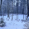 https://cdn.ostrovok.ru/t/100x100/hotel_review/b8/b0/b8b09582b3d446cdee2eb754d2ad73c812d4eec8.JPEG