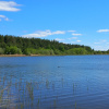 https://cdn.ostrovok.ru/t/100x100/hotel_review/b8/b7/b8b757ff24322574c5fb2ea8d24c8cbd83e233ab.jpeg