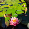 https://cdn.ostrovok.ru/t/100x100/hotel_review/bc/3f/bc3fb0c0b8d350c7b85d7cbb99aba6bb5ba287c6.JPEG