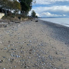 https://cdn.ostrovok.ru/t/100x100/hotel_review/bc/4e/bc4e0d448e9353d17a79179673968be5d4fcd1ae.JPEG