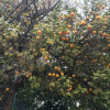 https://cdn.ostrovok.ru/t/100x100/hotel_review/bc/a0/bca01074e06ea3782575d0ef1d4d85d47d0185e5.JPEG