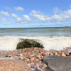 https://cdn.ostrovok.ru/t/100x100/hotel_review/bd/05/bd05cb53af8e2ff2a9e0848b6126d41fa6bd7bc9.JPEG