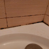 https://cdn.ostrovok.ru/t/100x100/hotel_review/be/7e/be7e6dc4b1a8bc8a8df8ba63265b6d892db3ce30.JPEG