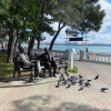 https://cdn.ostrovok.ru/t/100x100/hotel_review/be/bb/bebb044d118409eb31f36c5bbd3d64fda9f385f5.JPEG