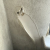 https://cdn.ostrovok.ru/t/100x100/hotel_review/be/f2/bef26eecf62df7fd074d20fb9f1a9f0b6b2d0189.JPEG