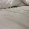 https://cdn.ostrovok.ru/t/100x100/hotel_review/c0/1c/c01c59ec2fdc07bb60dfc5d12b567fa0f2fc8c04.jpeg