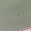 https://cdn.ostrovok.ru/t/100x100/hotel_review/c0/49/c049badde7e16e771aecdfd9f0a85c58b587f85c.JPEG