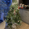 https://cdn.ostrovok.ru/t/100x100/hotel_review/c1/df/c1df6f0f40a4ab96deff522c084e91085ee4e8e9.JPEG