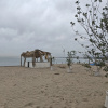 https://cdn.ostrovok.ru/t/100x100/hotel_review/c5/be/c5be0e4a5f1069f01dfbf82b93ab571ff6e1ff49.JPEG