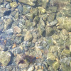 https://cdn.ostrovok.ru/t/100x100/hotel_review/c5/f9/c5f96ea7e9da68dcd0dfd1cf468ab01d32aa09c2.JPEG