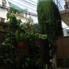 https://cdn.ostrovok.ru/t/100x100/hotel_review/c8/bd/c8bd3b316cfa4e920bc5a5214a2d31bb78914e9c.JPEG