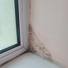 https://cdn.ostrovok.ru/t/100x100/hotel_review/ca/04/ca040cfda3cf7aaba89b99af931c595da8d0e5e5.JPEG
