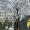 https://cdn.ostrovok.ru/t/100x100/hotel_review/ca/2b/ca2b2d94b4d641f98bafcc4c59e4d204bf407fee.JPEG