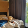https://cdn.ostrovok.ru/t/100x100/hotel_review/ca/94/ca941ffa88dde69aa76ccf6970d2b123fa77c96e.JPEG