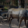 https://cdn.ostrovok.ru/t/100x100/hotel_review/cb/20/cb20f331dbca80a0c00ca3d23c143ae41b58ca41.JPEG