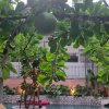 https://cdn.ostrovok.ru/t/100x100/hotel_review/cb/ca/cbcaa973dc2a11ef86f601b5e768e51385e37a55.JPEG