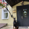 https://cdn.ostrovok.ru/t/100x100/hotel_review/cd/ae/cdae82eb87e79729ee50f2fc5b10362ce3c4cf93.JPEG