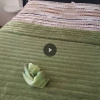 https://cdn.ostrovok.ru/t/100x100/hotel_review/ce/1a/ce1ad978fba6d7841fa2d26ea2558ddc299d5b08.jpeg