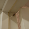 https://cdn.ostrovok.ru/t/100x100/hotel_review/cf/18/cf18bfd39b0a8ca3e8b46b07e232558d8d7024de.jpeg